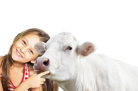 Champions Homeschool Deposit